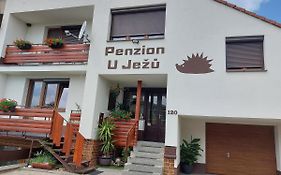Penzion U Ježů - Ubytování